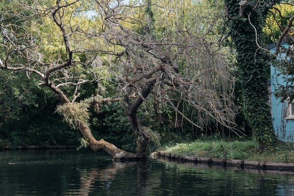 Découvrez comment noocube peut transformer votre sommeil