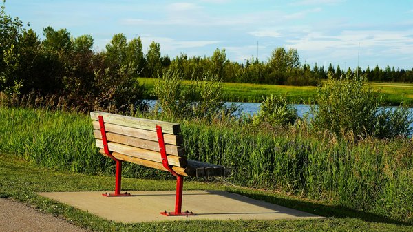 Les maladies rares du système nerveux